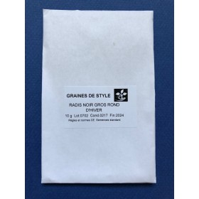 radis noir gros rond d'hiver 2