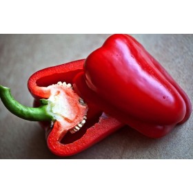 Graines de Piment Poivron doux Yolo Wonder