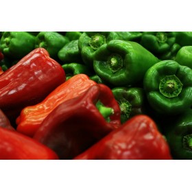 Graines de Piment Poivron doux Yolo Wonder 2