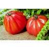 Graines de Tomate Cœur de bœuf d'Albenga