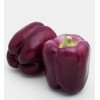 Graines de poivron violet purple bell