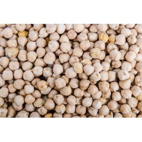 Graines de Pois Chiche 2