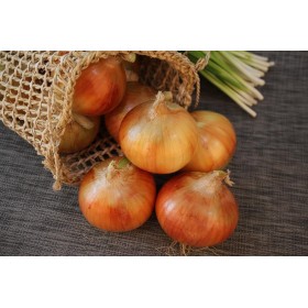 Graines d'Oignon Jaune Paille des Vertus