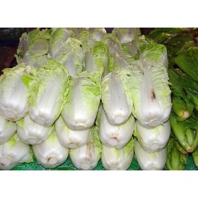 Chou de Chine Pe Tsai  2