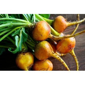 Betterave burpee's golden 