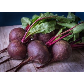 Betterave globe de Détroit bio  2