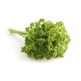 Persil frisé vert foncé bio 