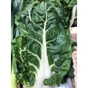 Poirée verte à carde blanche bio 