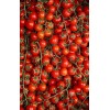 Tomate cerise Red Cherry bio 
