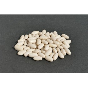 Haricot nain à écosser Cocagne (type coco paimpolais) 