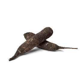 Graines de Radis noir gros long d'hiver de Paris