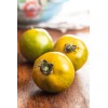 Graines de Tomate Green Zebra