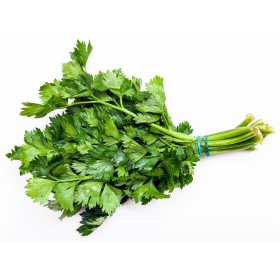 Céleri vert à couper  2