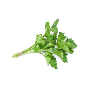 Cerfeuil commun simple 