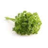 Persil frisé vert foncé (double) 