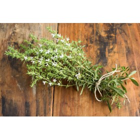 Sarriette annuelle  2