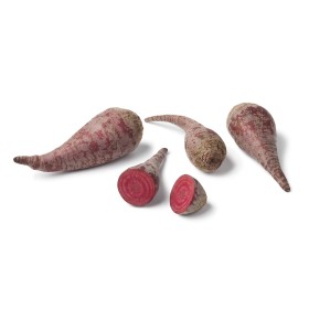 Betterave Crapaudine 