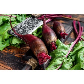 Betterave Crapaudine  2