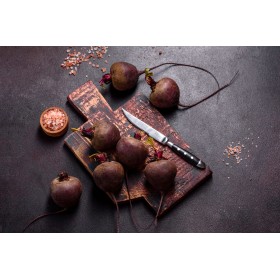 Betterave Globe de Détroit race Loki  2