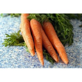Carotte ½ longue Nantaise améliorée  2