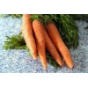 Carotte ½ longue Nantaise améliorée 