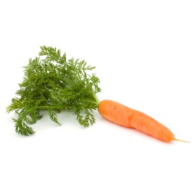 Carotte géante de Tilques à pétioles verts  2