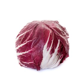 Chicorée sauvage Rouge de Vérone 