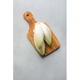 Chicorée Witloof normale maraîchère  2