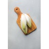 Chicorée Witloof normale maraîchère 