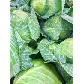 Chou Cabus Hyb. Consul 