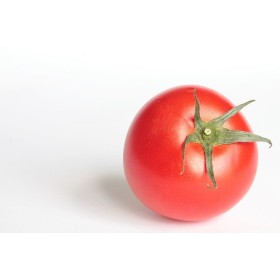 Chou de Bruxelles Hyb. Igor  2