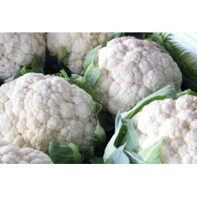 Chou Fleur hâtif d'Erfurt boule de neige         