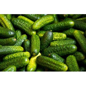 Cornichon fin de Meaux 