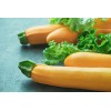 Courgette Hyb. Lingodor 