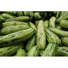 Courgette Hyb. Profusion  2