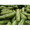 Courgette Hyb. Profusion 
