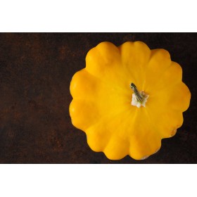 Courgette pâtisson orange 