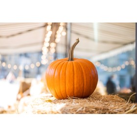 Courge d'Halloween Jack O'Lantern  