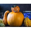 Courge d'Halloween Jack O'Lantern  