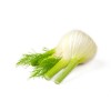 Fenouil doux de Florence 