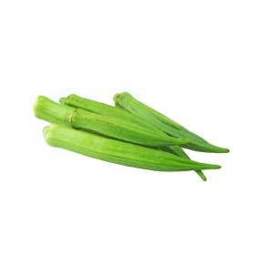 Gombo okra  2