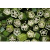 Gombo okra 