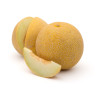 Melon hybride galia 