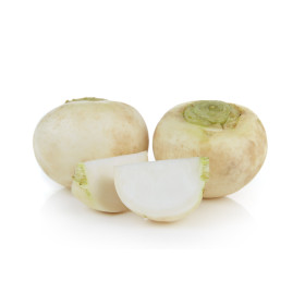 Navet blanc plat de Hollande  2