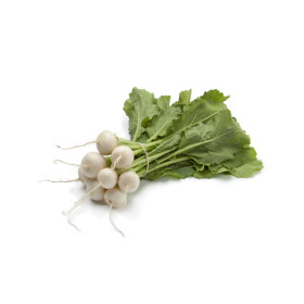 Navet blanc rond boule de neige 