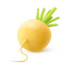 Navet jaune boule d'or 