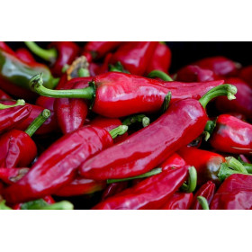 Piment basque Glorria dit d'Espelette 