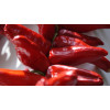Piment basque Glorria dit d'Espelette 