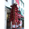 Piment basque Glorria dit d'Espelette 
