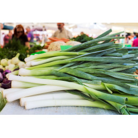 Poireau gros long d'été 